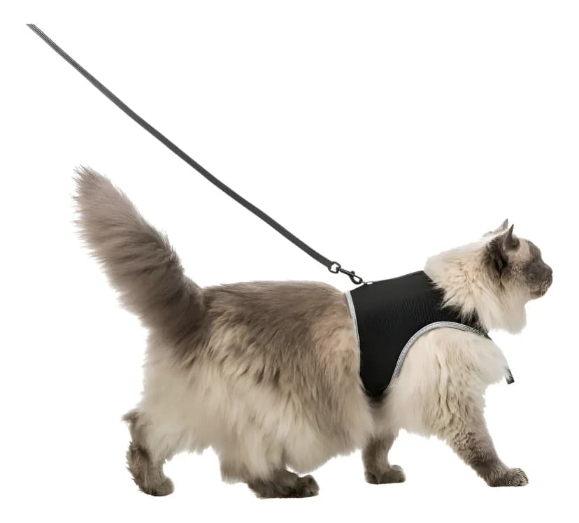 Arnes Pretal Gato Trixie Suave Ajustable + Correa Elastica