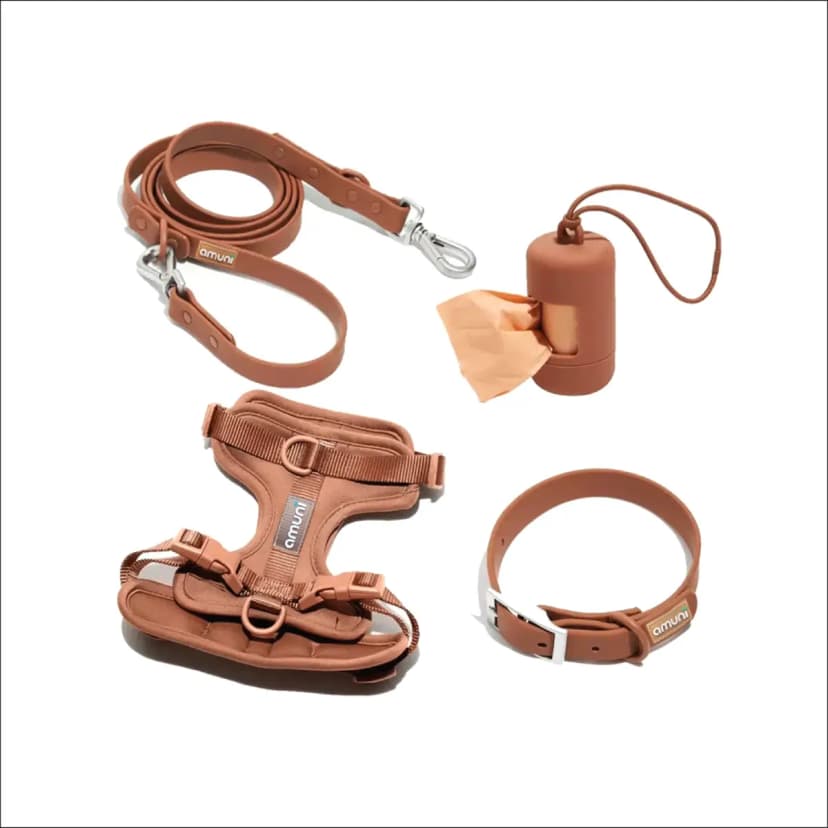 Kit Paseo Perros Arnés Anti Tirón Collar Correa Porta Bolsa