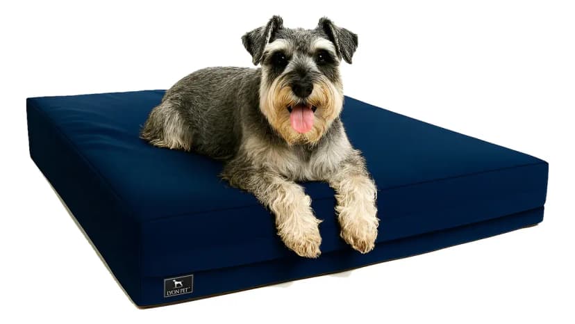 Colchon Impermeable C/ Funda Lyon Pet 70x50 Razas Chicas