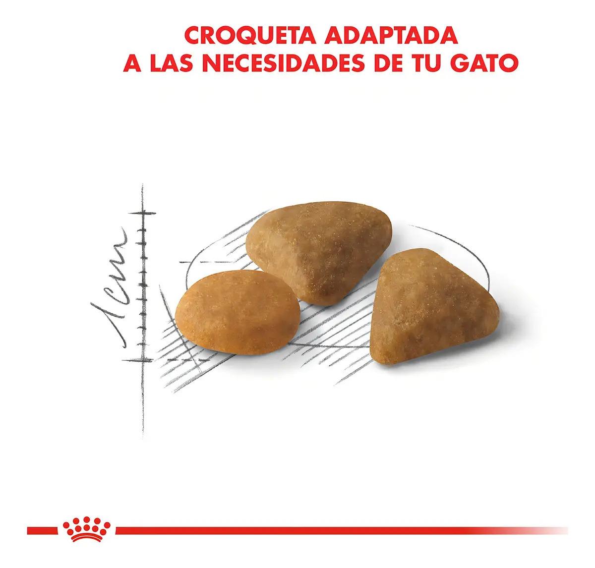 Royal Canin Gato Exigent 1.5kg 4