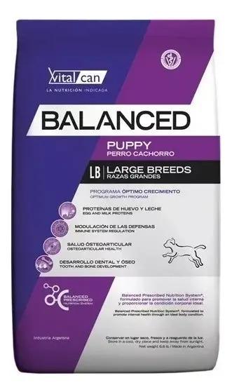 Alimento Balanced Perro Cachorro Raza pequeña para perro cachorro de raza grande sabor mix de 20 kg 2